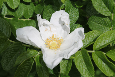 Similar image 22778162