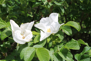 Similar image 22778164
