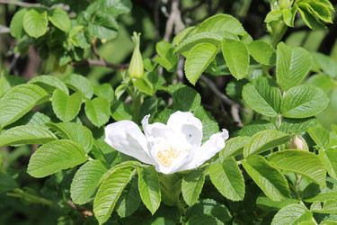 Similar image 22778166