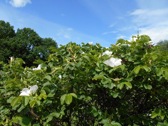 Similar image 22778168