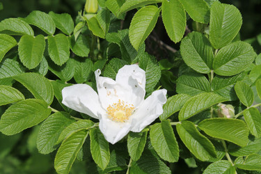 Similar image 22778169
