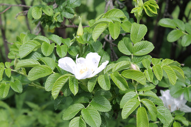Similar image 22778171