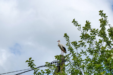 Similar image 22785311