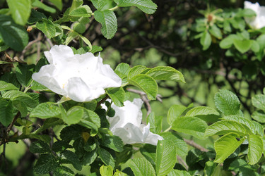 Similar image 22778172
