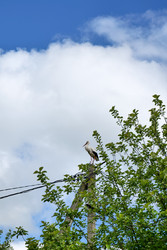 Similar image 22785359