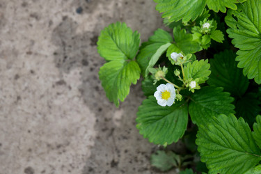 Similar image 22785402