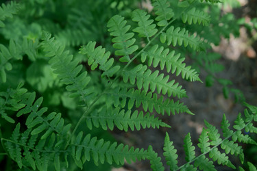 Similar image 22785427