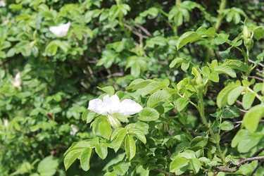Similar image 22778190