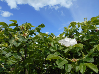Similar image 22778191