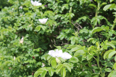 Similar image 22778194