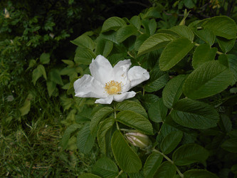 Similar image 22778211