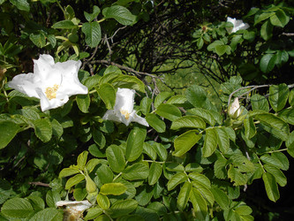 Similar image 22778213