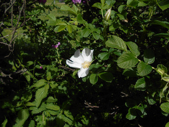 Similar image 22778214