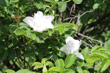 Similar image 22778215
