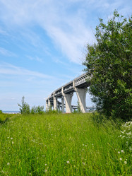 Similar image 22780839