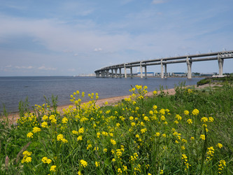 Similar image 22780862