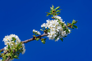 Similar image 22782485