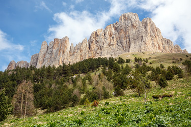 Similar image 22782614