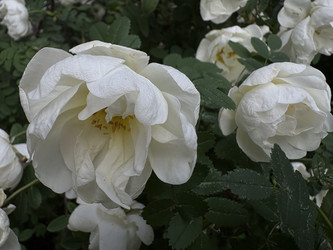 Similar image 22782443