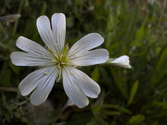 Similar image 22782450