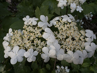 Similar image 22782451