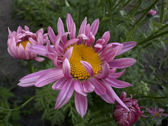 Similar image 22782454