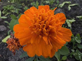 Similar image 22782456