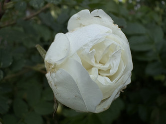Similar image 22782457