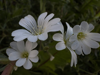 Similar image 22782458