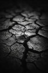 Крупный план сухой, потрескавшейся земли, демонстрирующий удивительную стойкость природы в сложных условиях - Neirfy