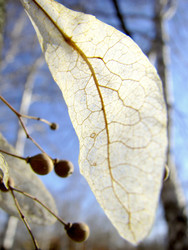 Similar image 22786515
