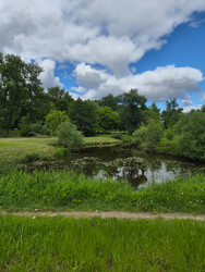 Similar image 22786411