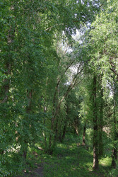 Similar image 22783766