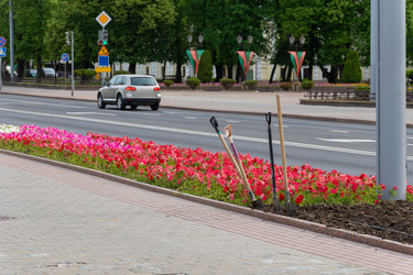 Similar image 22782478