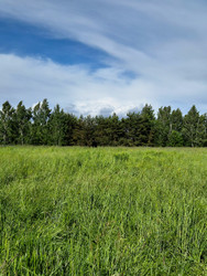 Similar image 22786441