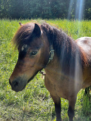 Similar image 22786468