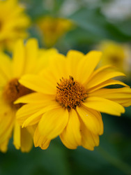 Similar image 22786579