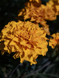 Similar image 22786580