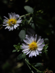 Similar image 22786583