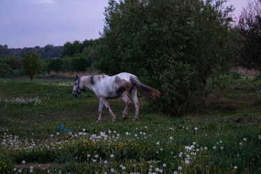 Similar image 22786736