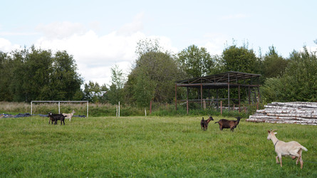 Similar image 22786658