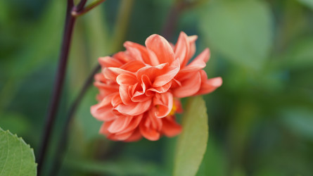 Similar image 22786615