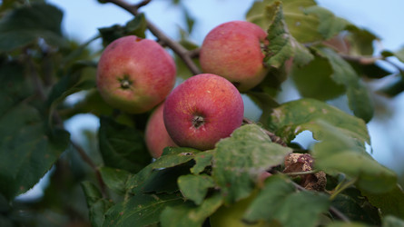 Similar image 22786616