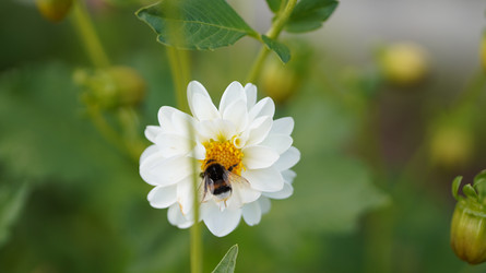 Similar image 22786620