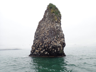Similar image 22786522