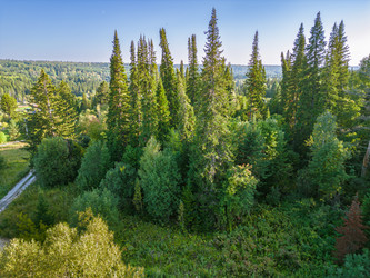 Similar image 22786250