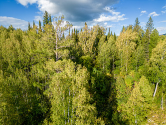 Similar image 22786111