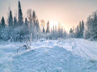 Similar image 22786207
