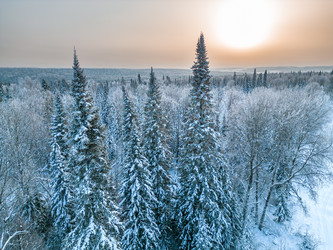 Similar image 22786208