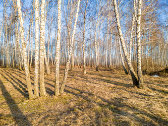 Similar image 22786343